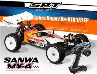 Serpent Buggy Brushless 1/8 RTR with Sanwa MX6